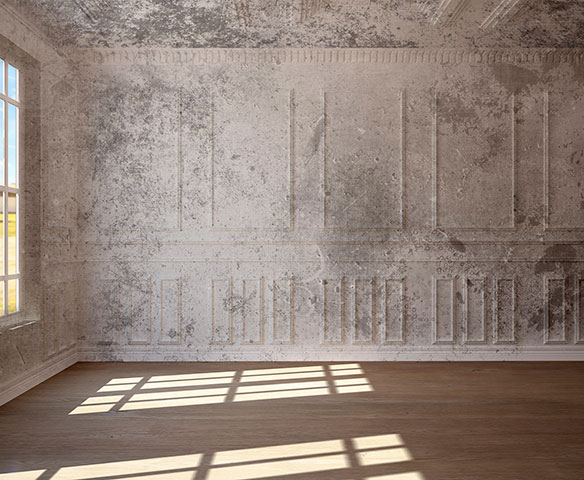 Residential Painters 1